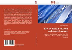 Rôle du facteur eIF2B en pathologie humaine - HORZINSKI, Laetitia