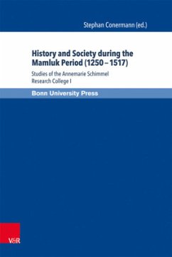 History and Society during the Mamluk Period (1250 - 1517)