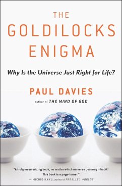 The Goldilocks Enigma (eBook, ePUB) - Davies, Paul