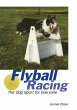 Flyball Racing (eBook, ePUB) - Bild 1