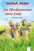 Ein Pferdesommer ohne Ende / Reiterhof Birkenhain Bd.6