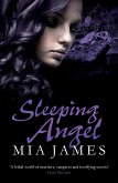 Sleeping Angel (eBook, ePUB)