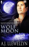 Wolf Moon (eBook, ePUB)
