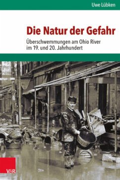 Die Natur der Gefahr - Lübken, Uwe