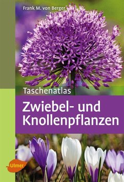 Taschenatlas Zwiebel- und Knollenpflanzen - Berger, Frank Michael von