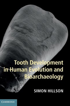 Tooth Development in Human Evolution and Bioarchaeology - Hillson, Simon (University College London)