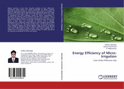 Energy Efficiency of Micro-Irrigation