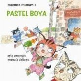 Pastel Boya - Mizmiz Mirnav 4