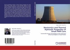 Neutronics and Thermal Hydraulic Properties of Small PWR Core