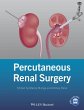 Percutaneous Renal Surgery - Bild 1