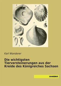 Die wichtigsten Tierversteinerungen aus der Kreide des Königreiches Sachsen - Wanderer, Karl