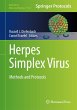 Herpes Simplex Virus - Bild 1