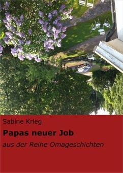 Papas neuer Job (eBook, ePUB) - Krieg, Sabine