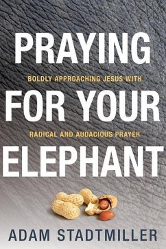 Praying for Your Elephant: Boldly Approaching Jesus with Radical and Audacious Prayer - Stadtmiller, Adam