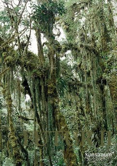 Cover Thomas Feuerstein. FUTUR II