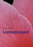 Liebeslagen (eBook, ePUB)