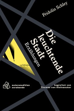 Die leuchtende Stadt (eBook, ePUB) - Schley, Fridolin