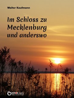 Im Schloss zu Mecklenburg und anderswo (eBook, ePUB) - Kaufmann, Walter