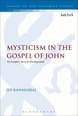 Mysticism in the Gospel of John (eBook, PDF)