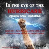 In the Eye of the Hurricane (eBook, ePUB)