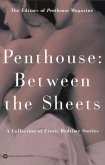 Penthouse (eBook, ePUB)