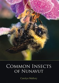 Common Insects of Nunavut - Mallory, Carolyn