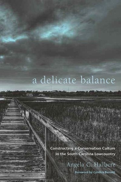 A Delicate Balance (eBook, ePUB)