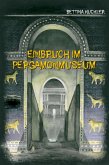 Einbruch im Pergamonmuseum (eBook, ePUB)