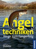 Angeltechniken (eBook, ePUB)