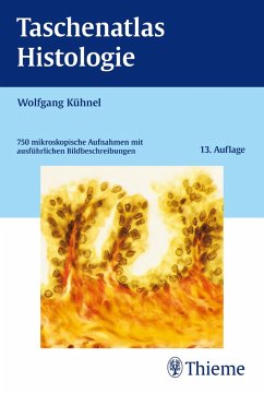 Taschenatlas Histologie (eBook, PDF) - Kühnel, Wolfgang