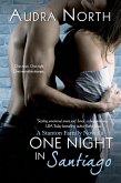 One Night in Santiago (eBook, ePUB)