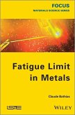 Fatigue Limit in Metals (eBook, ePUB)