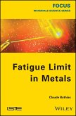 Fatigue Limit in Metals (eBook, PDF)