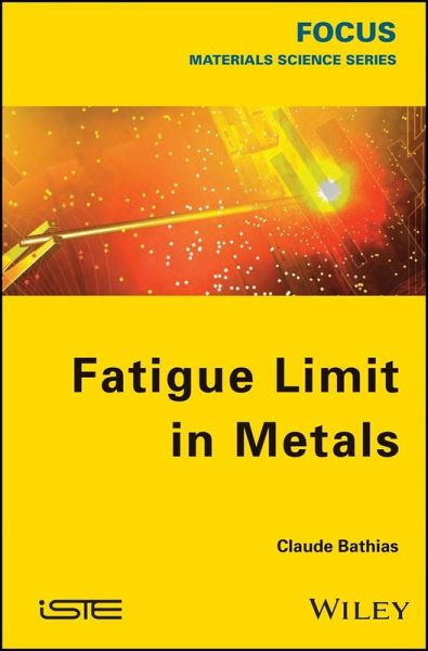Fatigue Limit in Metals (eBook, PDF)