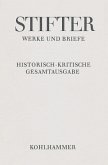 Amtliche Schriften zu Schule und Universität / Werke und Briefe 10,5, Tl.2