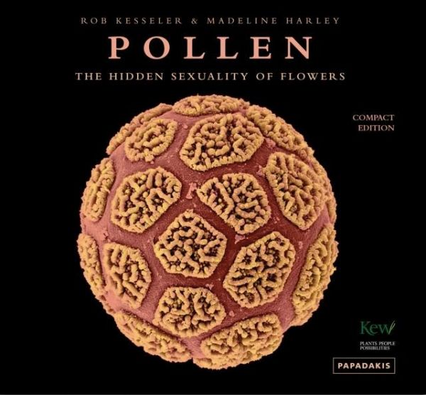 Pollen Pollen