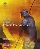 Treatise on Process Metallurgy, Volume 2: Process Phenomena (eBook, ePUB)