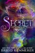 Secret (eBook, ePUB) - Bild 1