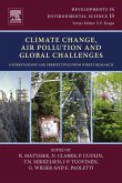 Climate Change, Air Pollution and Global Challenges (eBook, ePUB)