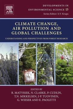 Cover Climate Change, Air Pollution and Global Challenges (eBook, ePUB)