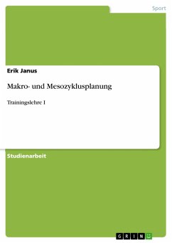 Makro- und Mesozyklusplanung (eBook, PDF)