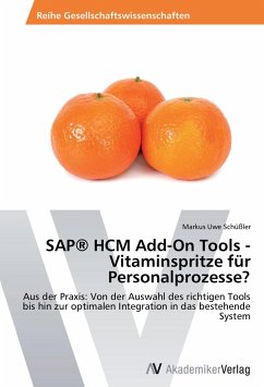 SAP® HCM Add-On Tools - Vitaminspritze für Personalprozesse? - Schüßler, Markus Uwe