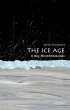 The Ice Age (eBook, PDF) - Bild 1