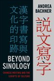 Beyond Sinology (eBook, ePUB)