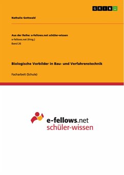 Biologische Vorbilder in Bau- und Verfahrenstechnik (eBook, PDF)