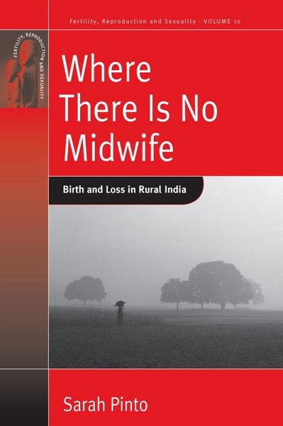 Where There Is No Midwife (eBook, PDF)