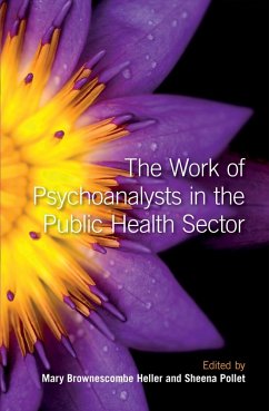 The Work of Psychoanalysts in the Public Health Sector (eBook, ePUB)