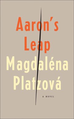 Cover Aaron's Leap (eBook, ePUB)