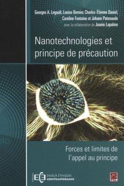 Nanotechnologies et principe de precaution (eBook, PDF)