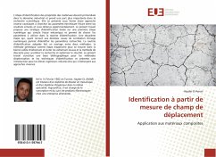 Identification à partir de mesure de champ de déplacement - El Amari, Hayder